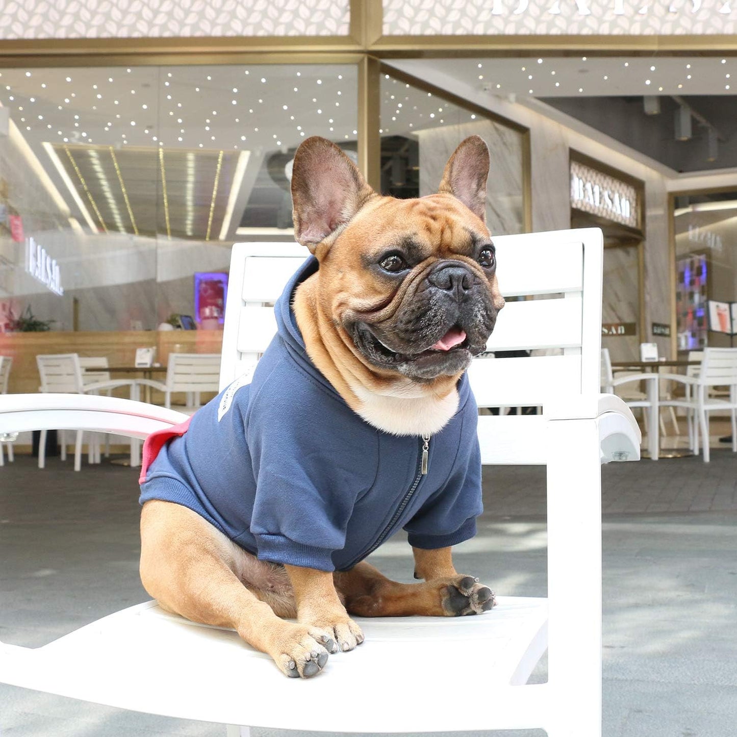 French Bulldog Hoodies and Sweatshirts for Dogs - Suitable for Frenchies, Pugs, English Bulldogs, Boston Terriers, Pitbulls - Navy, Medium Size, Winter Apparel